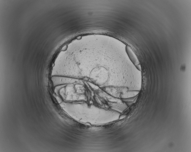 X0000116830350201001291648