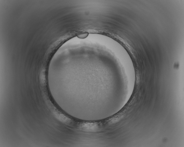 X0000116830353201001291648