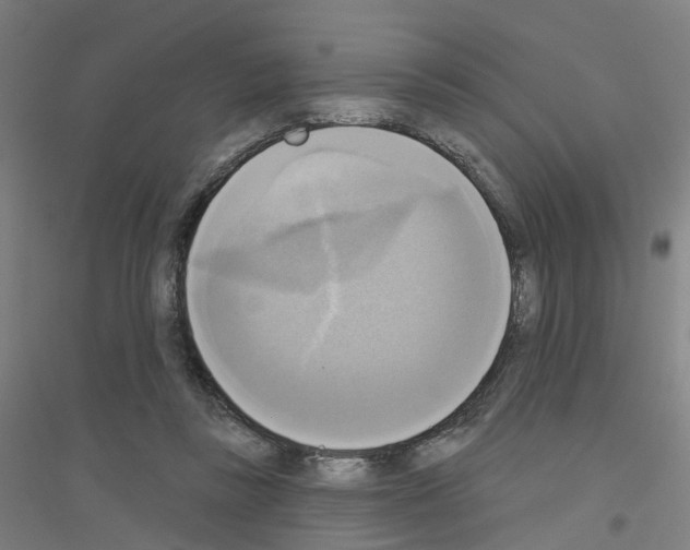 X0000116830355201001291648