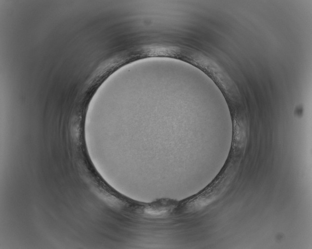 X0000116830357201001291648