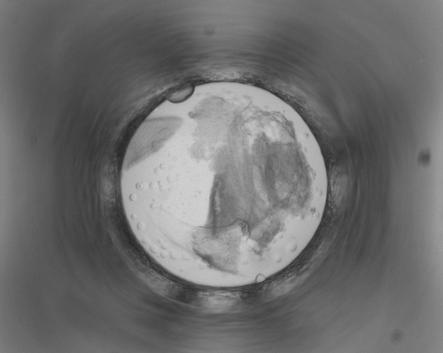 X0000116830359201001291648