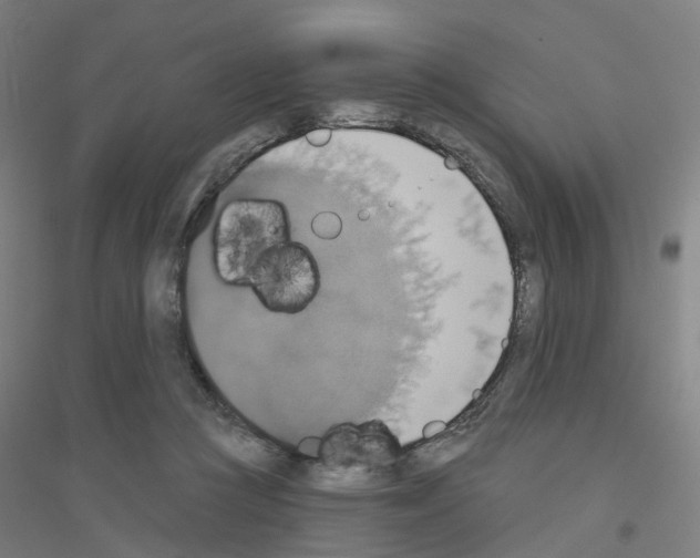 X0000116830361201001291648