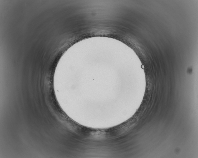 X0000116830362201001291648