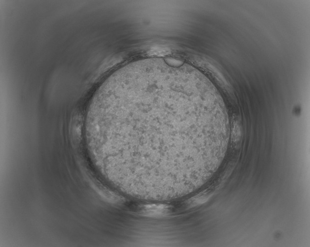 X0000116830363201001291648