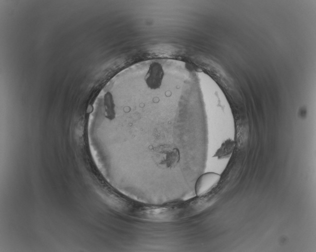 X0000116830365201001291648