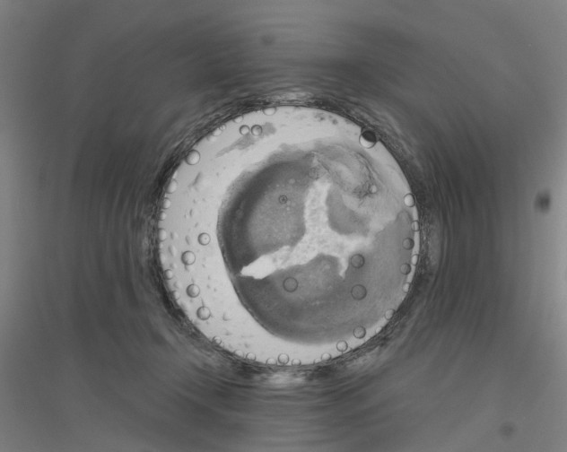 X0000116830366201001291648