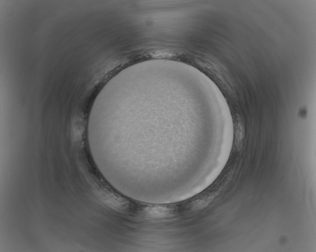 X0000116830367201001291648