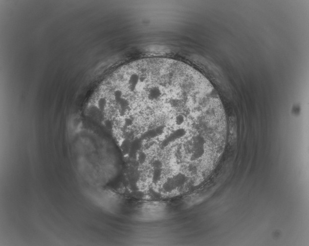 X0000116830369201001291648