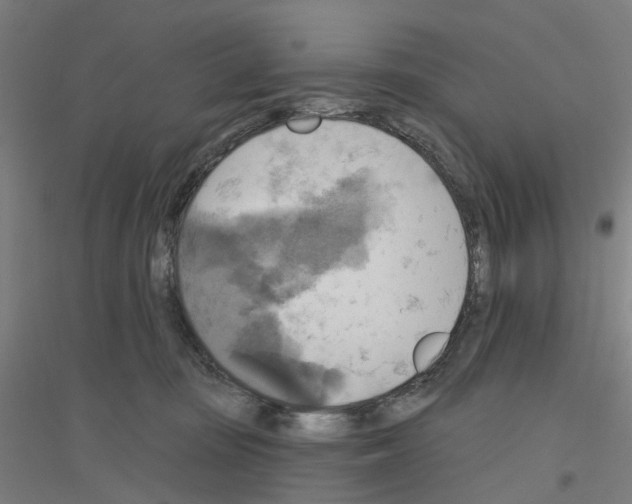 X0000116830371201001291648