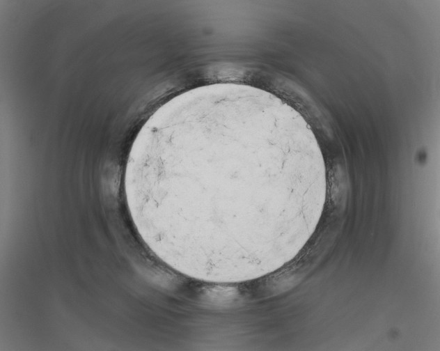 X0000116830374201001291648