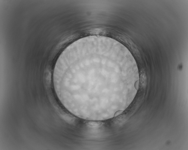 X0000116830375201001291648