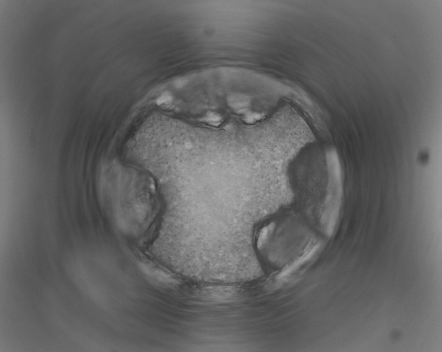 X0000116830377201001291648