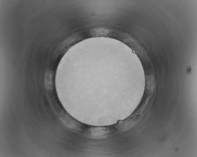 X0000116830378201001291648