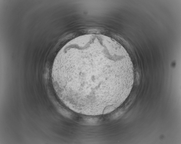 X0000116830379201001291648