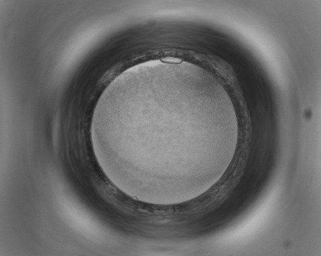 X0000116830382201001291648