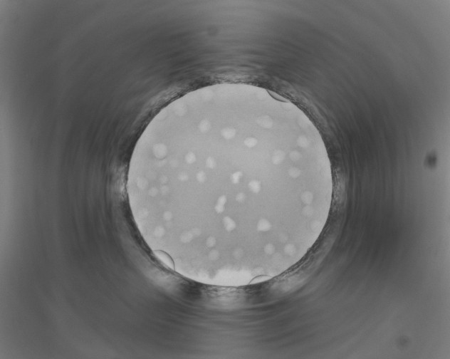 X0000116830383201001291648