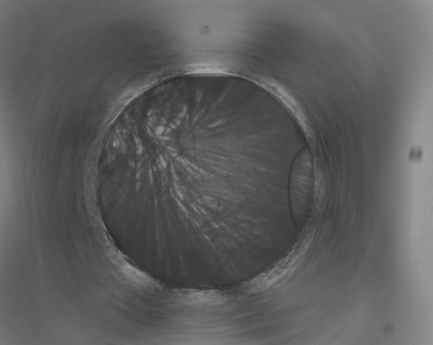 X0000116830385201001291647