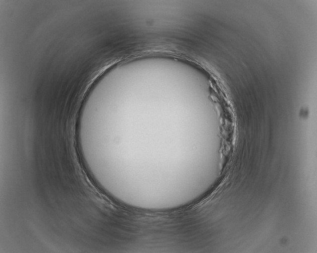 X0000116830386201001291647