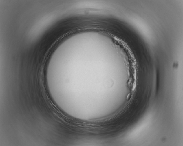 X0000116830387201001291647