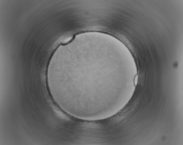 X0000116830389201001291647