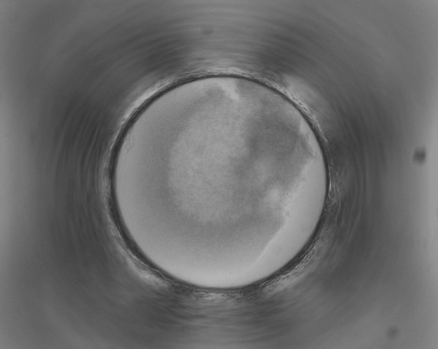 X0000116830390201001291647