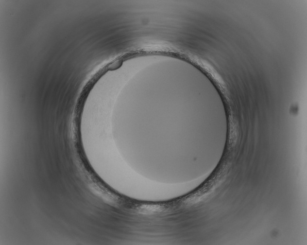 X0000116830391201001291647