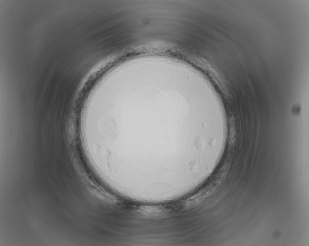 X0000116830392201001291647