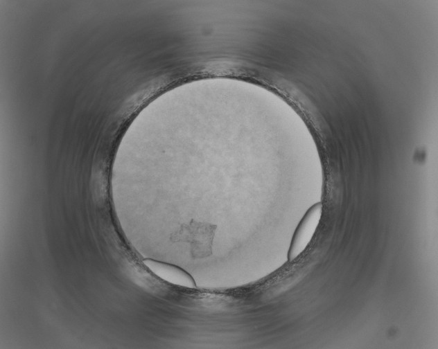 X0000116830393201001291647