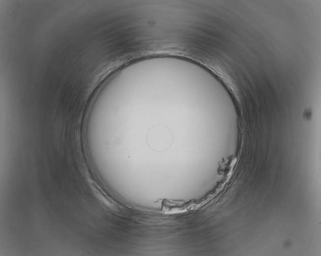 X0000116830397201001291647