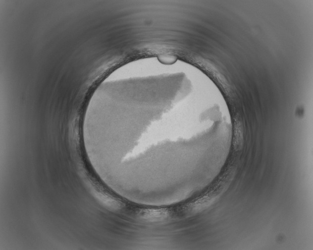 X0000116830398201001291647