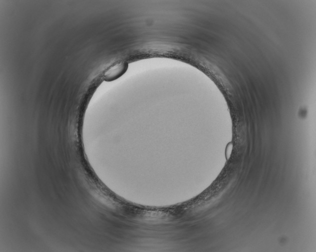 X0000116830399201001291647