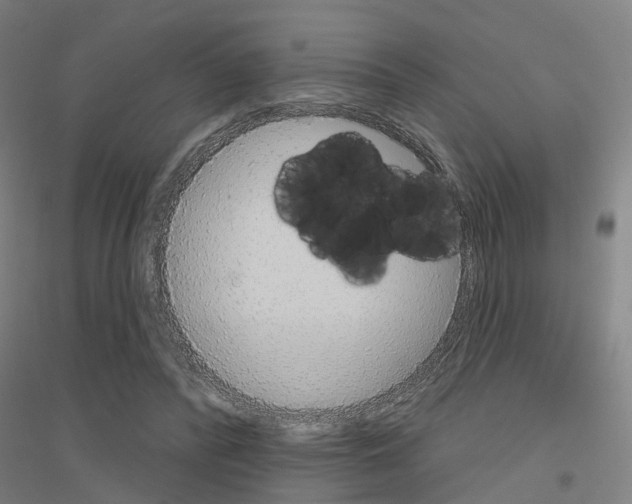 X0000116830400201001291647