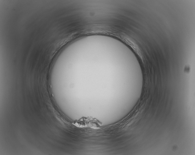 X0000116830401201001291647