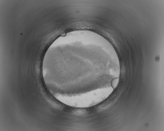 X0000116830402201001291647