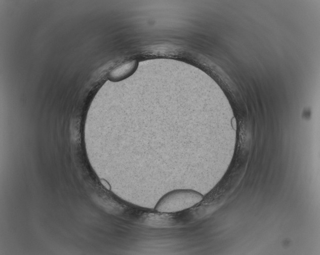 X0000116830403201001291647