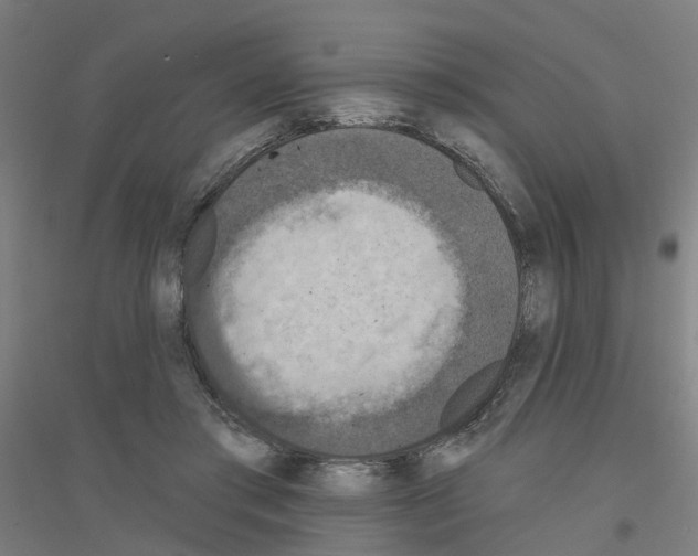 X0000116830405201001291647