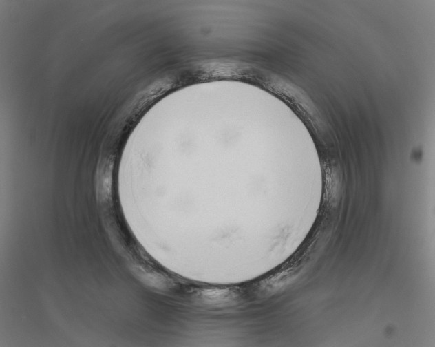 X0000116830406201001291647