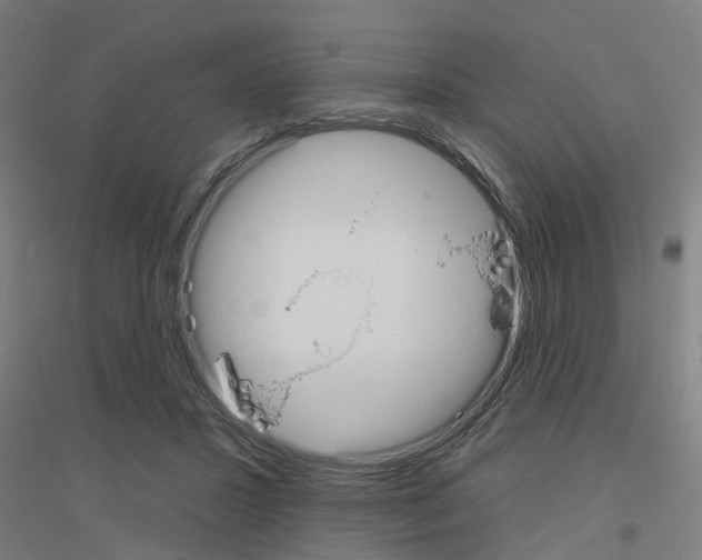 X0000116830407201001291647