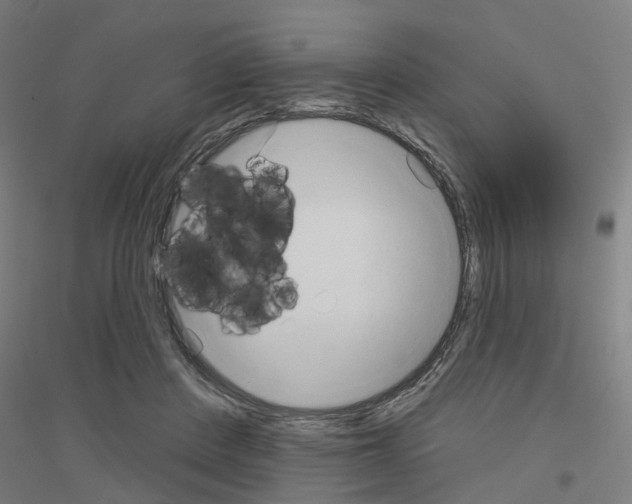 X0000116830408201001291647