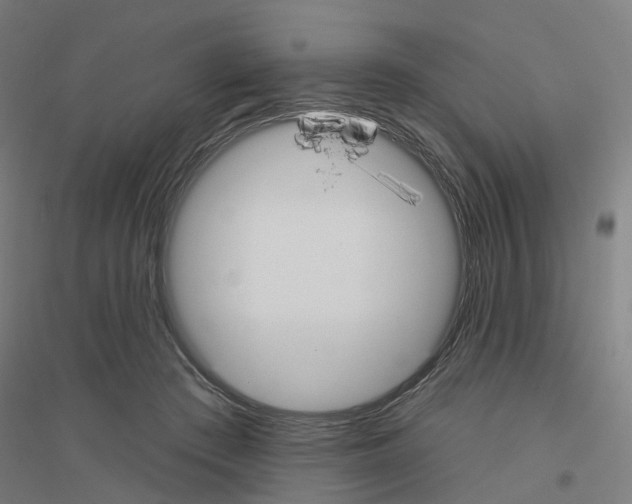 X0000116830409201001291647