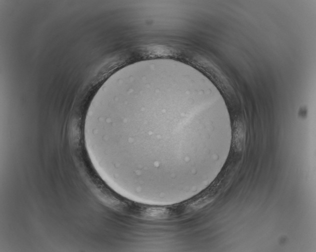 X0000116830410201001291647