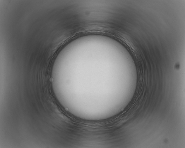 X0000116830411201001291647