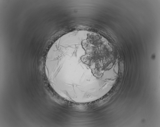 X0000116830412201001291647