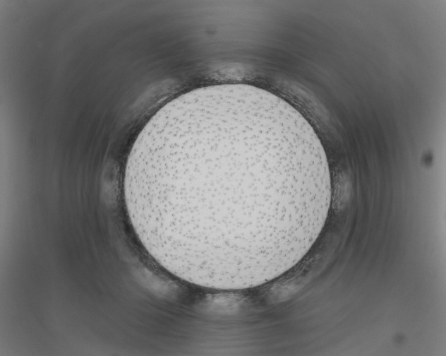 X0000116830414201001291647