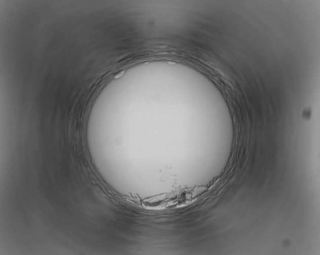 X0000116830417201001291647