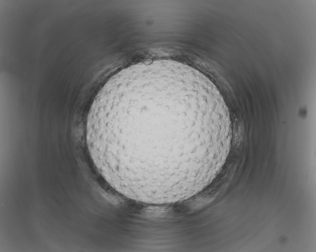 X0000116830418201001291647