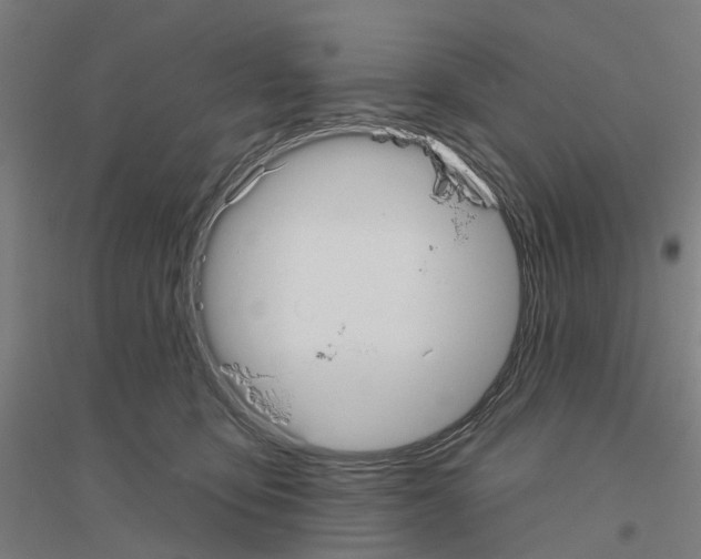 X0000116830419201001291647