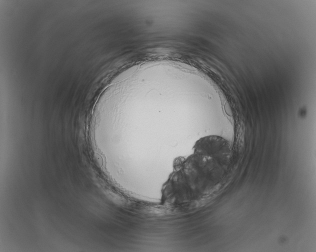 X0000116830420201001291647