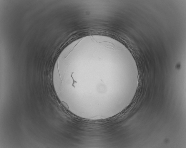 X0000116830421201001291647