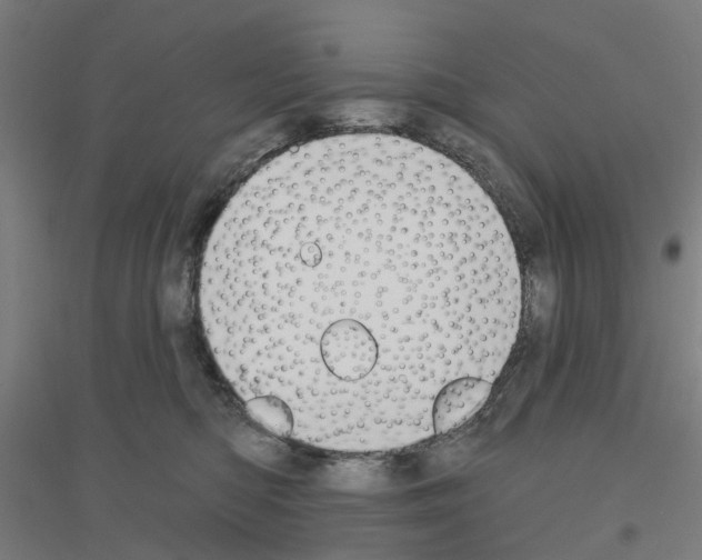 X0000116830422201001291647